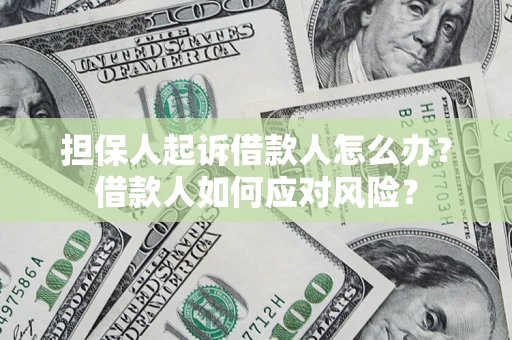 济南担保人起诉借款人怎么办？借款人如何应对风险？
