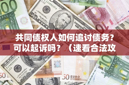 济南共同债权人如何追讨债务？可以起诉吗？（速看合法攻略）